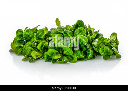 Mucchio verde insalata di mais bianco isolato Foto Stock