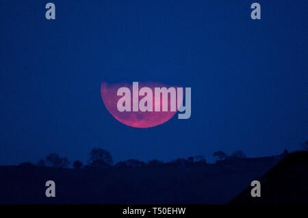 Aberystwyth Wales UK, Venerdì Santo, 19 aprile 2019. Regno Unito: Meteo una spettacolare luna piena, noto come 'Luna Rosa' vita fino al suo nome come sorge sulla collina vicino a Aberystwyth sul Buon Venerdì sera dopo una giornata di caldo scorchingly sunshine Photo credit: Keith Morris/Alamy Live News Foto Stock