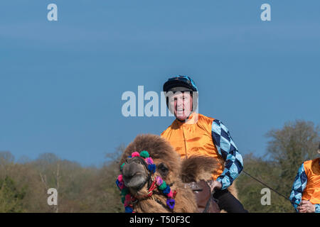 Hungerford, West Berkshire, Regno Unito. 19 apr 2019. Melbourne 10 Racing Camel Racing nella principale area emozionante la folla con AP McCoy (Sir Anthony Peter McCoy OBE, comunemente noto come AP McCoy ) ex campione horse racing jockey tenendo il piombo e sul vincere la gara più famosa corsa di cavalli trainer Jamie Osborne e Nico de Boinville racing jockey che compete nella legislazione nazionale in materia di caccia racing. Foto Stock