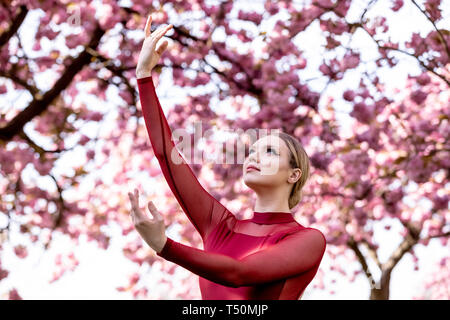 Londra, Regno Unito. Xx Apr, 2019. Meteo REGNO UNITO: Beth indossa, un ballerino con semaforo della compagnia di balletto, esegue in Greenwich Park nel caldo sole del pomeriggio vicino al fiore di ciliegio alberi durante il weekend di Pasqua ondata di caldo. Credito: Guy Corbishley/Alamy Live News Foto Stock