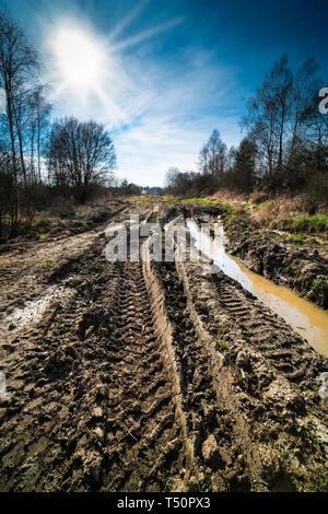 Impronte di pneumatici. Off-road via. Raggi di sole nella primavera del paesaggio. Pozza nel pneumatico rut. Fangoso percorso accidentato il dettaglio. Terreno sterrato. Area militare. Blue sky. Foto Stock