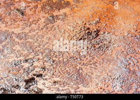 Texture di sporcizia in una sorgente geotermica in Wai-O-Tapu, Rotorua, Nuova Zelanda. Close-up Foto Stock