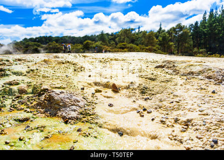 Piscine geotermali in Wai-O-Tapu park, a Rotorua, Nuova Zelanda. Con il fuoco selettivo Foto Stock