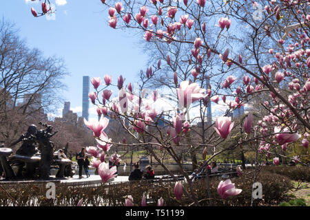 Central Park è bello in primavera, NYC, STATI UNITI D'AMERICA Foto Stock