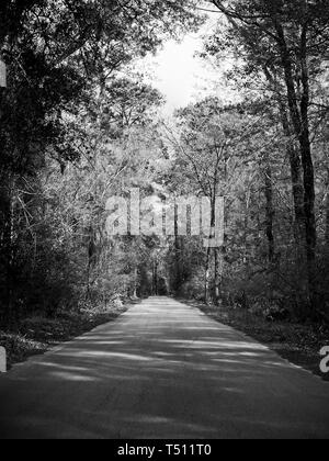 Texas USA - 03/08/2019 - Una corsia Road to Nowhere in Sud TX in B&W Foto Stock