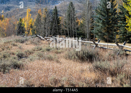 Idaho paesaggio dove alcuni tra il margine inferiore della Sagra della Pecora si verificano Foto Stock