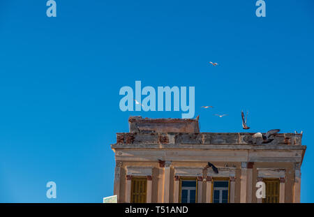 Stormi di gabbiani e piccioni volare al di sopra del tetto di un edificio abbandonato contro il cielo blu di Aegina, Grecia Foto Stock