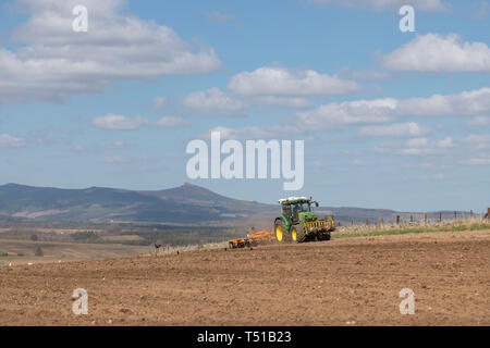 Bennachie in Rural Aberdeenshire fornisce lo sfondo per questa scena di un agricoltore la preparazione di un campo per la semina Foto Stock