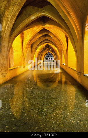 La metropolitana i bagni nel Real palazzo di Alcazar di Siviglia, Spagna Foto Stock