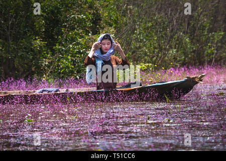 Il Tram Chim Riserva Naturale, Dong Thap Provincia, Vietnam - Marzo 18, 2017 : Immagine di un contadino felice coppia sono in barca su un canale pieno di ultricular rosa Foto Stock