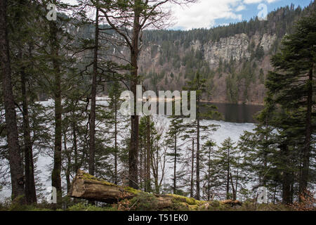 Feldsee nella parte sud dalla foresta nera in Germania, nei pressi di monte Feldberg Foto Stock