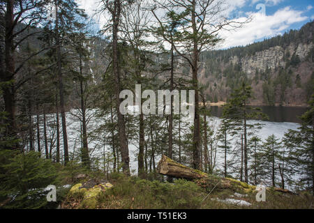 Feldsee nella parte sud dalla foresta nera in Germania, nei pressi di monte Feldberg Foto Stock