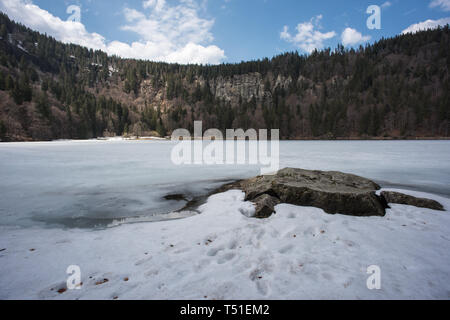 Feldsee nella parte sud dalla foresta nera in Germania, nei pressi di monte Feldberg Foto Stock