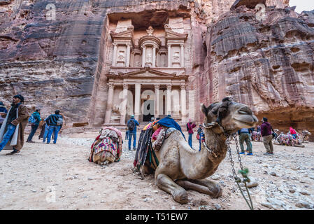 Il Cammello di fronte al tempio Khazneh - Il tesoro di Petra città archeologica in Giordania Foto Stock