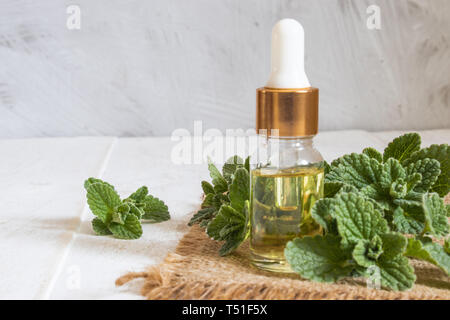 Organici di olio essenziale di menta in un piccolo vaso di vetro con foglie verdi. Olio essenziale naturale di menta. Foto Stock