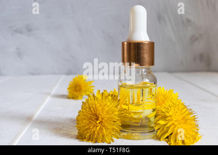 Olio essenziale naturale in una bottiglia di vetro con freschi Fiori di tarassaco sul tavolo. Fiore di olio essenziale. La fitoterapia. Foto Stock