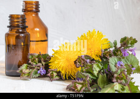 Essenziale olio aromatico con fiori di tarassaco su sfondo di legno. Fiore di olio essenziale. La fitoterapia. Foto Stock