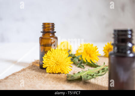 Essenziale olio aromatico con fiori di tarassaco su sfondo di legno. Fiore di olio essenziale. La fitoterapia. Foto Stock
