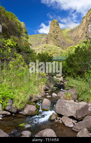 Il famoso Iao ago nella Iao Valley State Park a Maui, Hawaii. Basso angolo di visione con il ponte nel centro. Foto Stock
