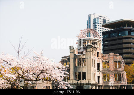 La Cupola della Bomba Atomica a Hiroshima, Giappone durante la fioritura dei ciliegi stagione Foto Stock