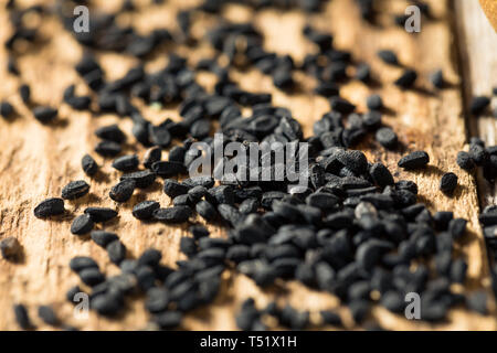 Materie organiche finocchio nero semi di fiori in un vaso Foto Stock