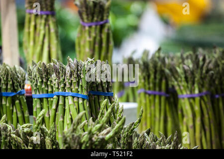 Fasci di asparagi verdi, coltivati per la vendita su un mercato canadese di Montreal. Gli asparagi sono una molla coltivati vegetali nel Nord Europa e un Foto Stock