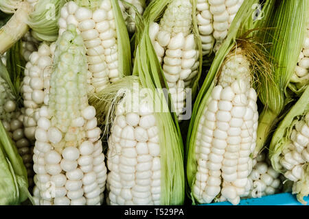 Prodotti locali freschi nel mercato degli agricoltori Foto Stock