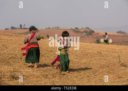 Shan i bambini tornando a casa da scuola il trek da Kalaw al Lago Inle, Stato Shan, Myanmar. Foto Stock