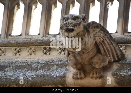 Gargoyle conformata come un mostro di pietra Foto Stock