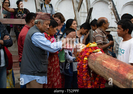 Kathmandu, Nepal - 03 Settembre 2017: locale la gente adora il santo tronco di albero durante il festival presso Hanumandhoka. Foto Stock