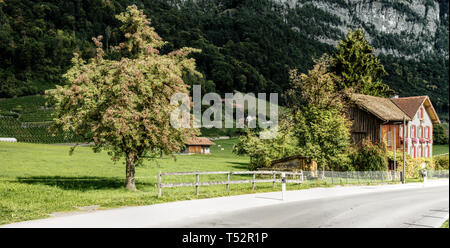 Agriturismo sulla strada principale per Walenstadt da Sargans, Svizzera Foto Stock