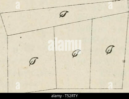 "Allgemeine Encyklopädie der gesammten forst- und Jagdwissenschaften. Unter Mitwirkung der bedeutendsten Fachautoritäten" (1886) Foto Stock