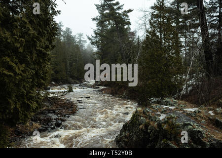 Shot prese a Lester Park in una nebbiosa mattina in aprile, Duluth MN. Foto Stock