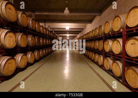 Quinta do Portal cantina in Sabrosa, Douro, Portogallo Foto Stock