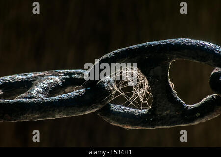 Ferro spessa catena nero links recinto closeup con spider web Foto Stock