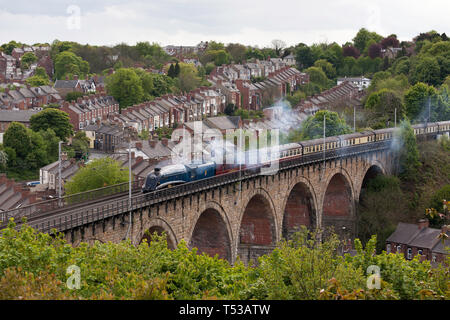 EX LNER snellito A4 pacific locomotiva a vapore 60007 Sir Nigel Gresley capi nord su Durham city viadotto, maggio 2009, Inghilterra, Regno Unito Foto Stock