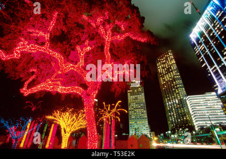 Miami Florida,Bayside Park,area pubblica,ricreazione,Biscayne Boulevard Holiday Village Lights on Trees Southeast Financial Center,FL085 Foto Stock