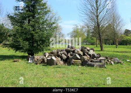 Un mucchio di tronchi in campagna a Hever Foto Stock