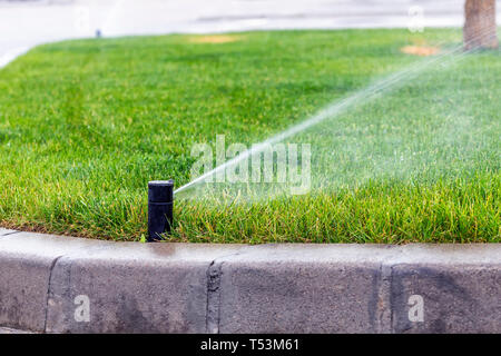 Prato testina sprinkler nella dispersione di acqua su erba nel parco della città. Sprinkler erba di irrorazione di acqua sul prato vicino. Foto Stock