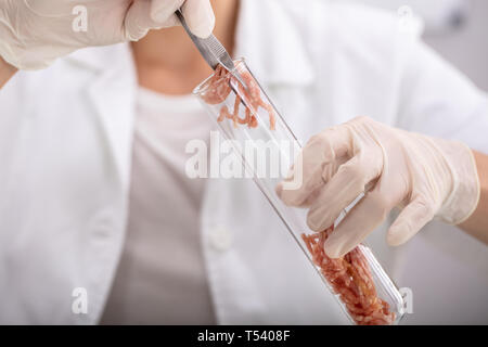 Controllo della qualità alimentare esperto controllo a campione di carne in laboratorio Foto Stock