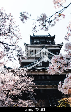 Il Castello di Hiroshima coperte con fiori di ciliegio, Giappone Foto Stock