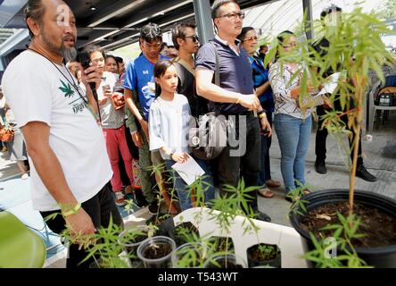 Ritratto di Newin Chidchob, ampiamente noto come de facto la testa del potente Bhumjaithai Party che le saldature enorme influenza nella formazione del nuovo governo in Thailandia. Signor Newin giurò che il suo partito sarà solo il supporto di un governo di coalizione che decriminalizes tutti uso di marijuana in Thailandia. Migliaia scesi in primo-mai la cannabis expo in Buriram, Thailandia, 20 aprile 2019. La Tailandia ha recentemente superato la legalizzazione della marijuana medica nel paese. Foto Stock