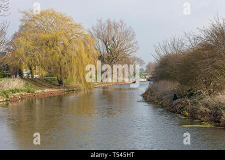Il fiume Cam vicino Waterbeach, Cambridgeshire, Inghilterra, Regno Unito. Foto Stock