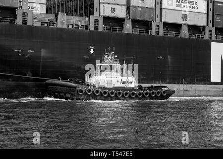 Foto in bianco e nero del rimorchiatore AmNav (rimorchiatore), INDEPENDENCE, nave portacontainer di scorta, MSC ELODIE nel porto di Long Beach, California. Foto Stock