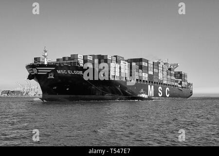 Foto in bianco e nero della nave portacontainer, MSC ELODIE, scortata da Tugs, che fuma verso il Long Beach Container Terminal, California, USA. Foto Stock