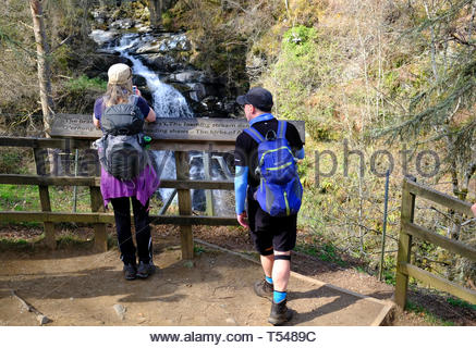 Gli scuotipaglia in corrispondenza di un punto panoramico con vista sulle cascate di Moness al Birks di Aberfeldy, Aberfeldy Perthshire Scozia Scotland Foto Stock