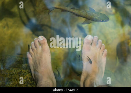 Giovane uomo avente il pesce di antimonio della terapia spa e massaggio ai piedi in cascata. Foto Stock