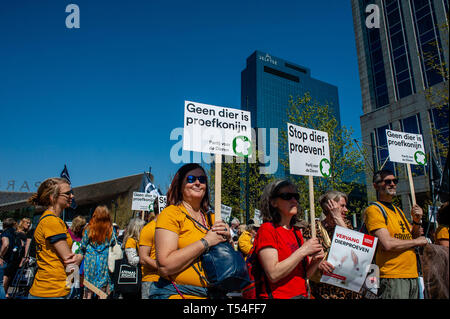 Rotterdam South Holland, Paesi Bassi. Xx Apr, 2019. Un gruppo di animali pro gli attivisti hanno visto holding cartelloni durante la protesta.L'organizzazione non governativa "i diritti degli animali" ha organizzato una manifestazione per la sostituzione della sperimentazione animale. Centinaia di persone si sono radunate nel centro di Rotterdam per chiedere al governo olandese di smettere di sovvenzionare i test sugli animali e di esplorare altre alternative. Credito: Ana Fernandez/SOPA Immagini/ZUMA filo/Alamy Live News Foto Stock