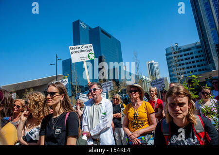 Rotterdam, Paesi Bassi. Xx Apr, 2019. Un gruppo di animali pro gli attivisti hanno visto ascoltando alcuni discorsi durante la protesta. L'organizzazione non governativa "i diritti degli animali" ha organizzato una manifestazione per la sostituzione della sperimentazione animale. Centinaia di persone si sono radunate nel centro di Rotterdam per chiedere al governo olandese di smettere di sovvenzionare i test sugli animali e di esplorare altre alternative. Credito: SOPA Immagini limitata/Alamy Live News Foto Stock