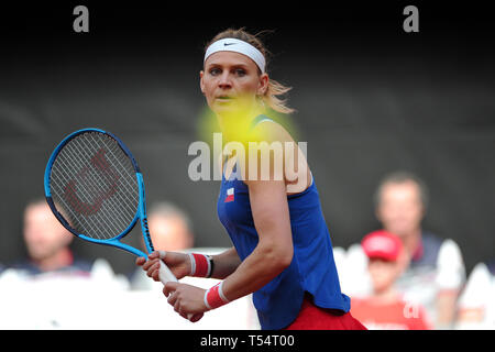 Prostejov, Repubblica Ceca. Xxi Aprile, 2019. Lucie SAFAROVA della Repubblica ceca durante la Fed Cup play-off round tra Repubblica ceca e Canada in Prostejov nella Repubblica Ceca. Credito: Slavek Ruta/ZUMA filo/Alamy Live News Foto Stock